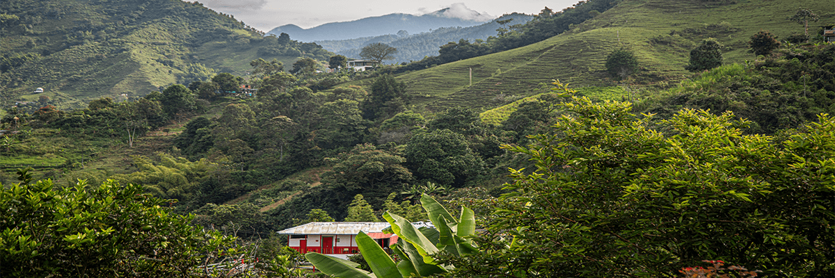 Colombia Signature: Coffee Region & Cartagena